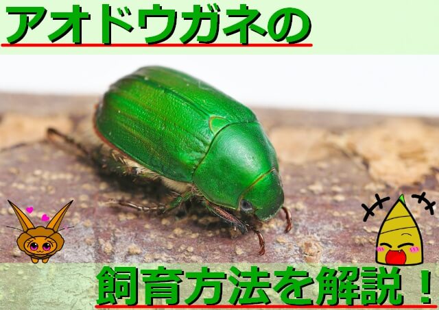 Thumbnail of post image 006